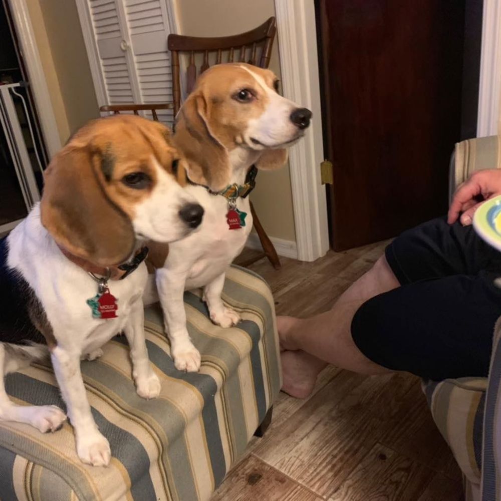 Meet your Posher, Lynne